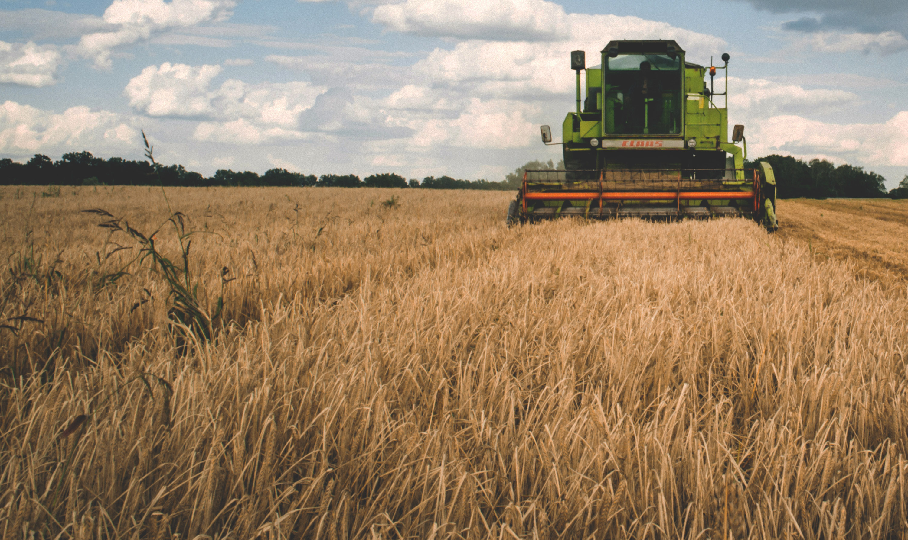 оценка земли. выкуп сельскохозяйственных земель. земли сельскохозяйственного назначения. выкуп сельскохозяйственных земель. землепользование.